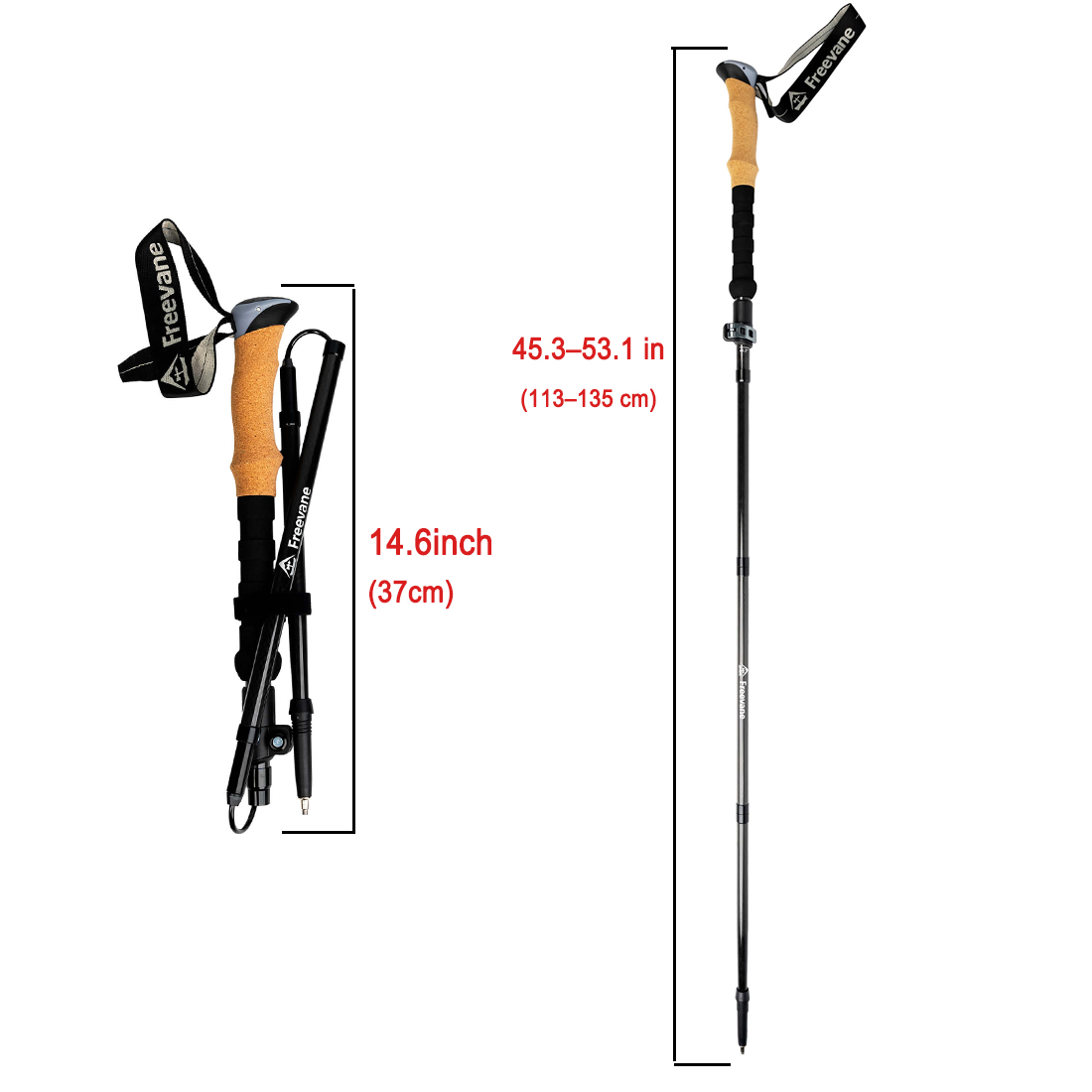 عصي تسلق الجبال خفيفة الوزن من - مراجعة Trekking Pole Carbon وسعره