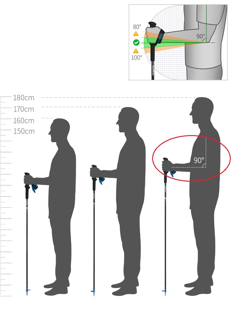 بايونير ألياف الكربون الرحلات  - مراجعة Trekking Pole Carbon وسعره