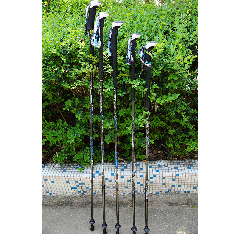 بايونير ألياف الكربون الرحلات  - مراجعة Trekking Pole Carbon وسعره
